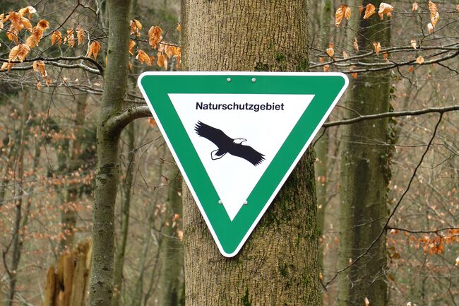 Schild an einem Baum mit der Aufschrift Natuschutzgebiet